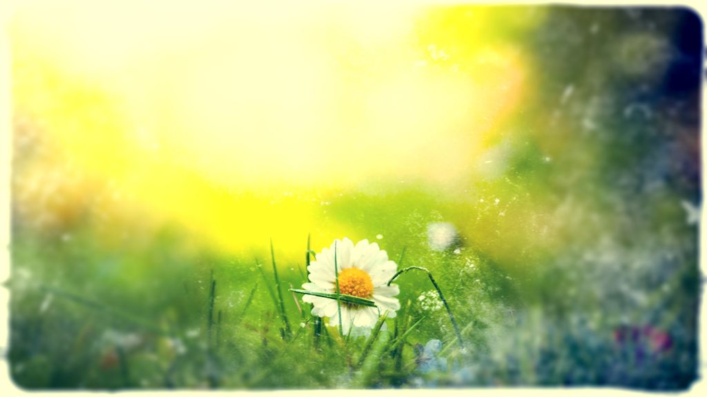 Midsummer – When Sun Never Sets