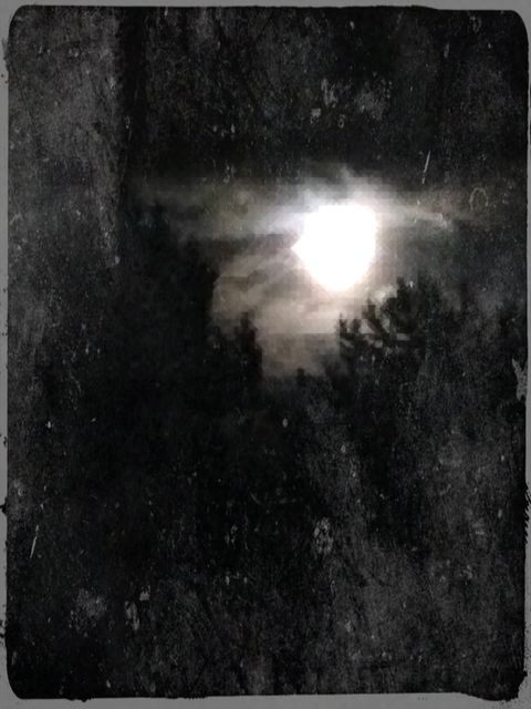 Halloween/Samhain: The Season of Bats