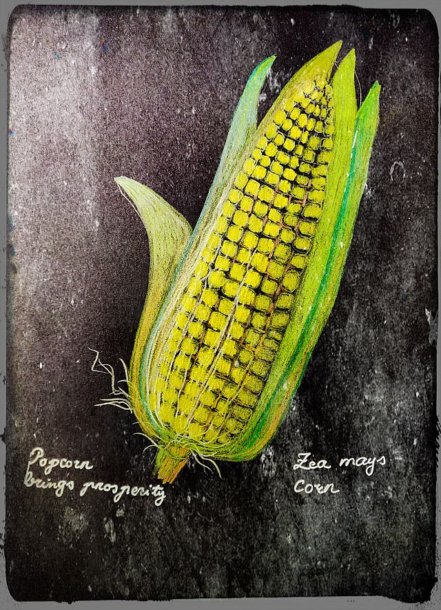 Love Magick with Popcorn?